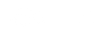 Logotipo Guincho Paladium PNG